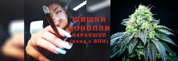 ALPHA PVP Гусь-Хрустальный