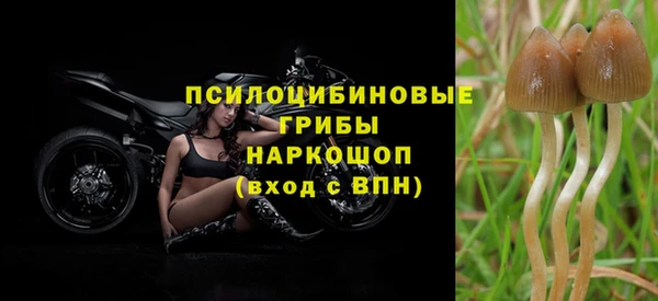 марихуана Гусиноозёрск