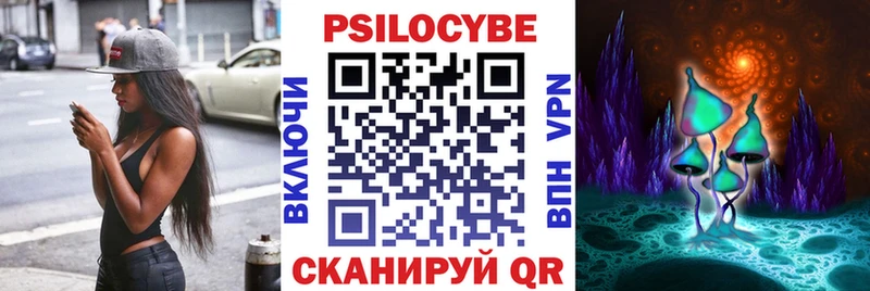 Псилоцибиновые грибы Cubensis Иннополис